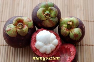 Mangosztán