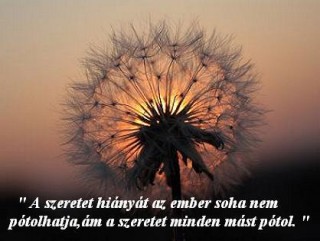 A szeretet hiányát