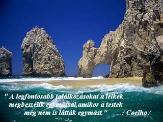 Coelho