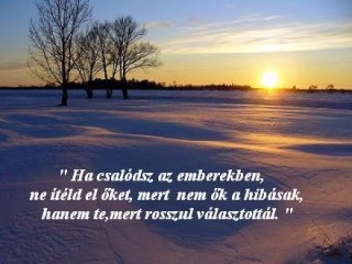 Csalódás
