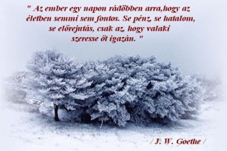 Goethe