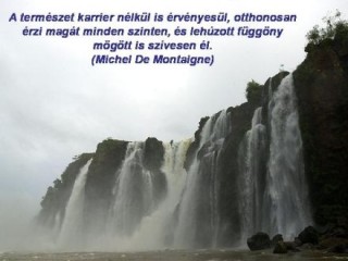 Karrier