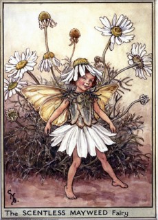 Margaréta