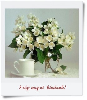 Szép napot!