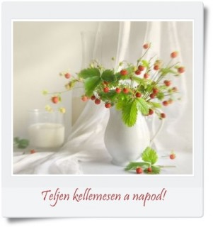 Kellemes napot!