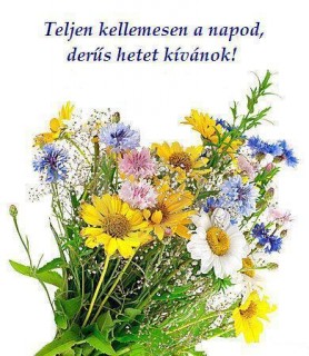Napot-hetet