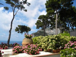 Capri