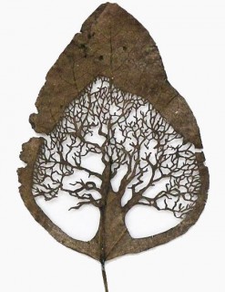 Falevél 13.