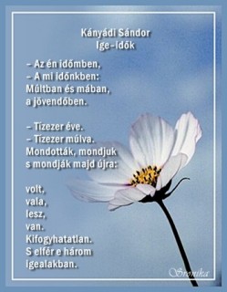 Kányádi Sándor