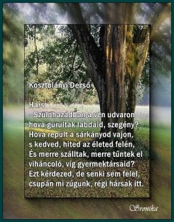 Kosztolányi Dezső