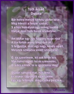Tóth Árpád