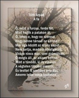Tóth Árpád