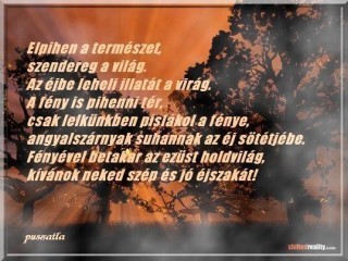Jó éjt