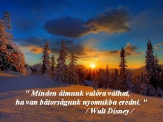 Walt Disney