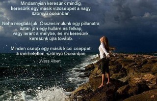 Wass Albert